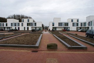 Archieffoto van de witte woningen