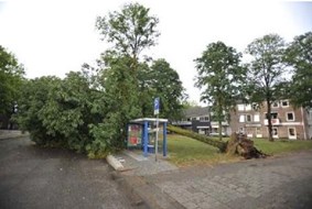 Omgewaaide bomen door onweer in Tilburg-Noord. Foto John Schouten/ PVE