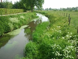 De Leij richting Beeksedijk