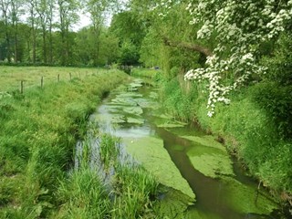 Zo was het in de lente