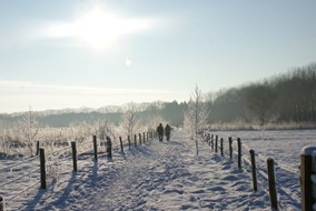 Winterwandeling